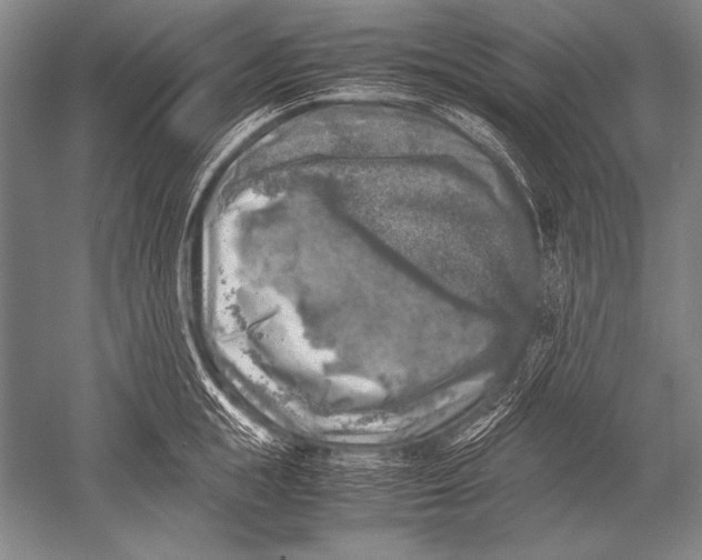 X0000051270855200507082241
