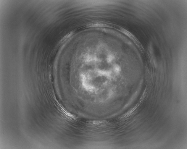 X0000051270857200507082241