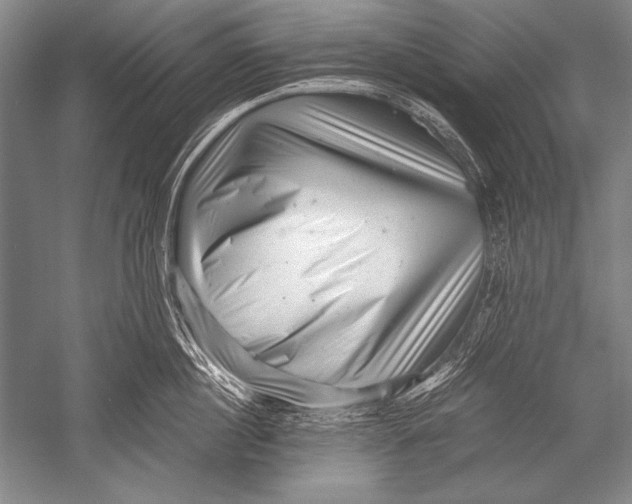 X0000051270860200507082241