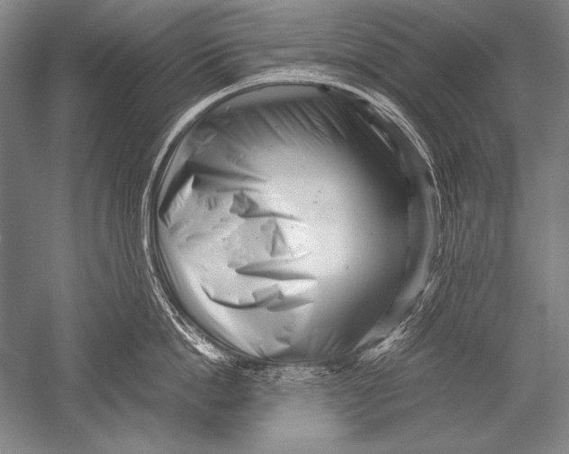 X0000051270862200507082241