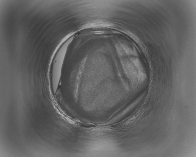X0000051270864200507082241