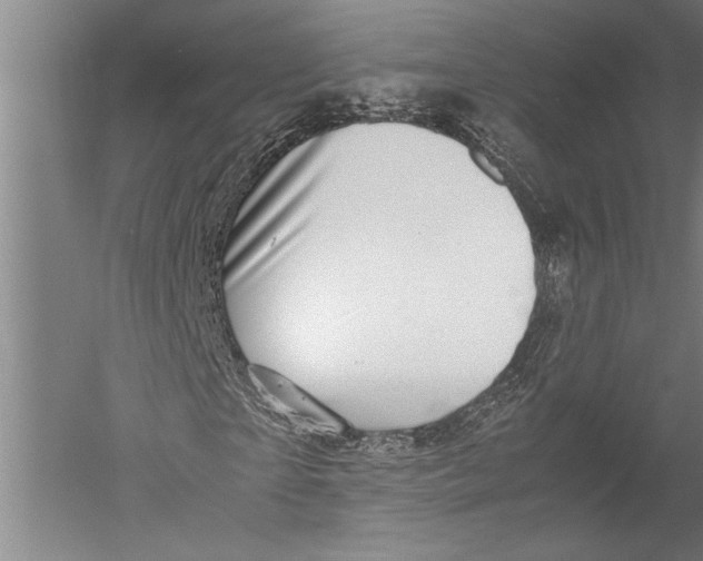 X0000051270865200507082240