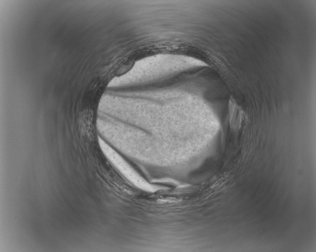 X0000051270867200507082240