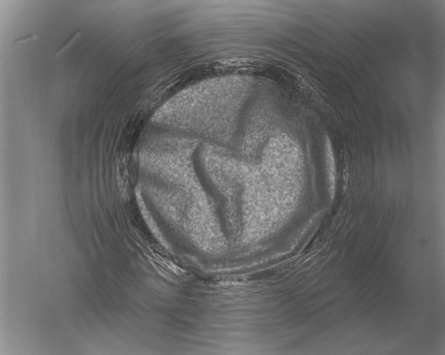 X0000051270868200507082240