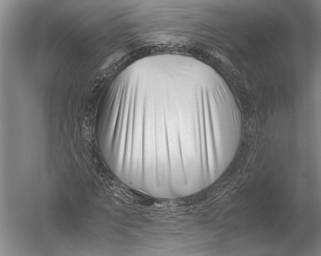 X0000051270869200507082240