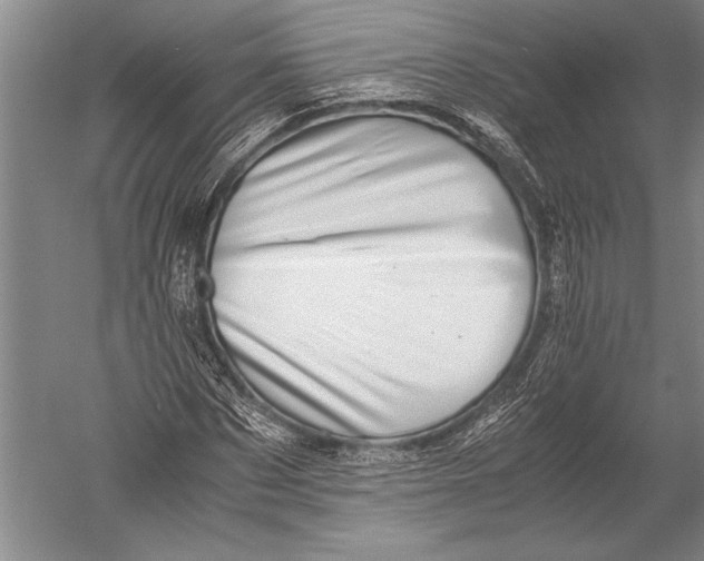 X0000051270873200507082240