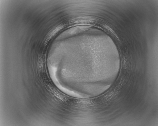 X0000051270874200507082240