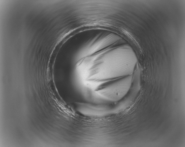 X0000051270876200507082240