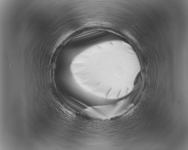 X0000051270877200507082240