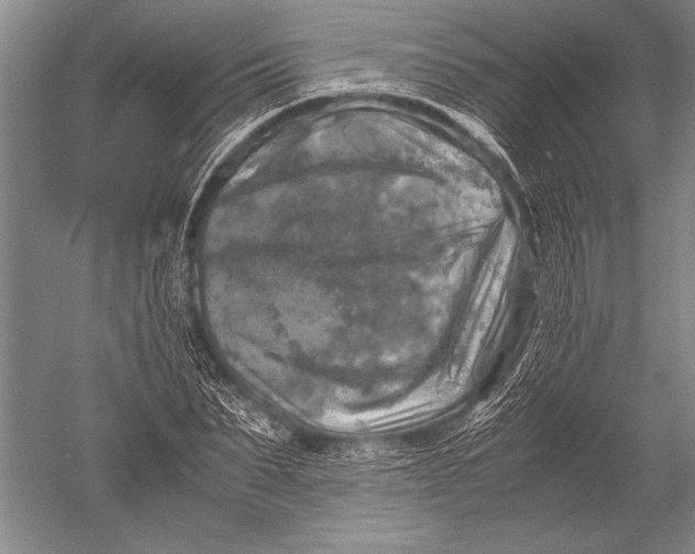 X0000051270879200507082240