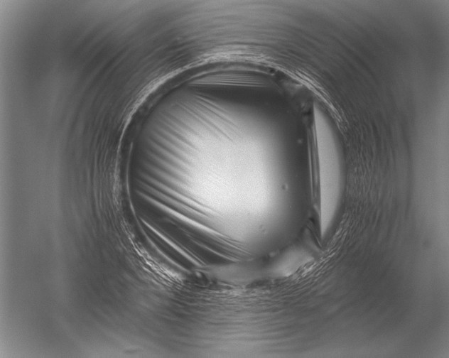 X0000051270880200507082240