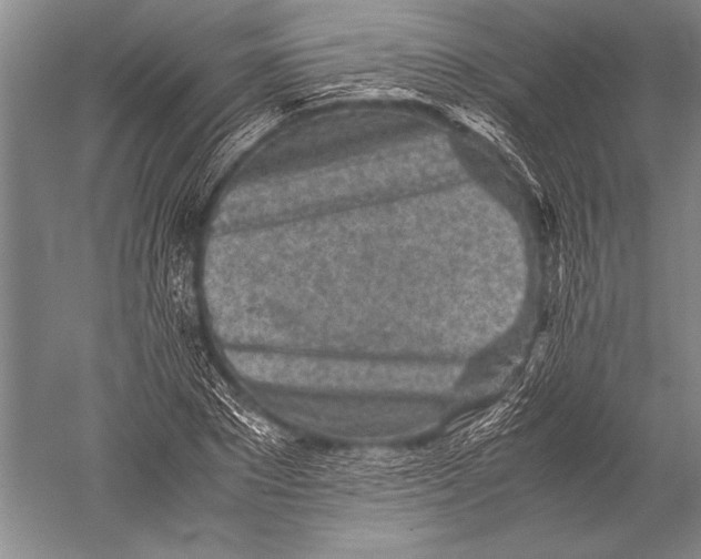 X0000051270881200507082240
