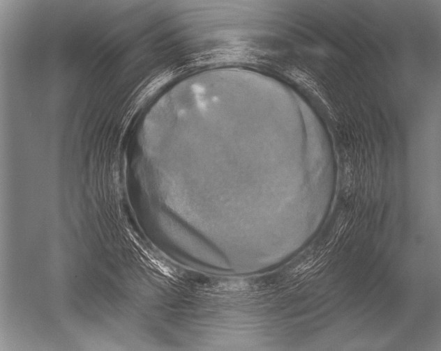 X0000051270882200507082240