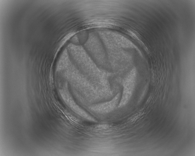 X0000051270883200507082240