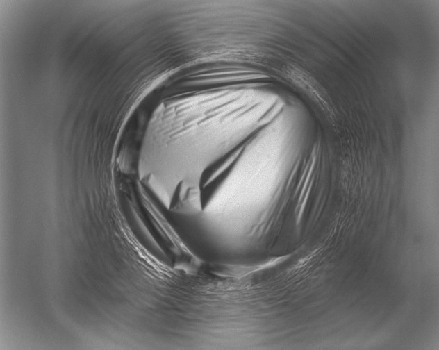 X0000051270884200507082240