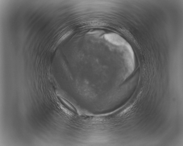 X0000051270889200507082240