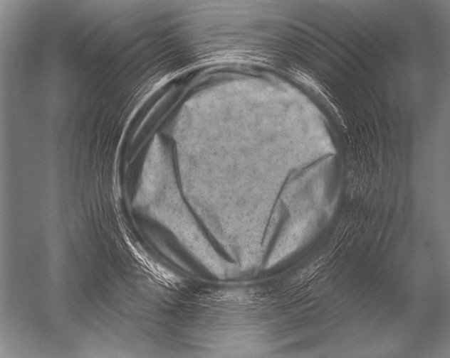 X0000051270892200507082240
