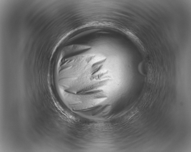 X0000051270896200507082240