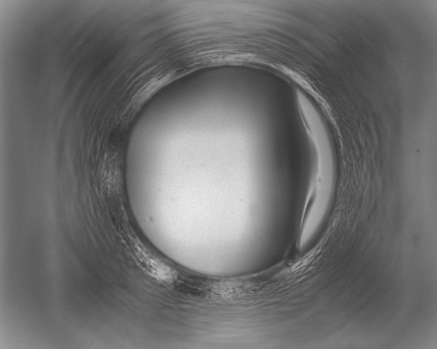 X0000051270897200507082240