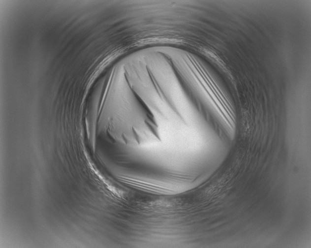X0000051270898200507082240