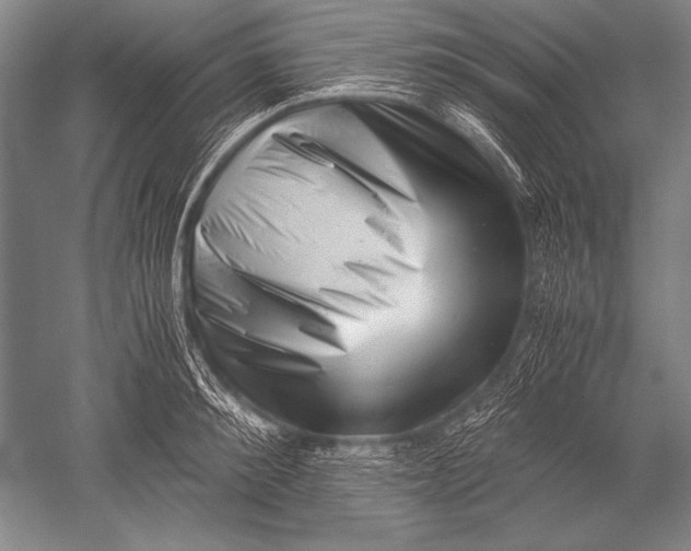 X0000051270900200507082240