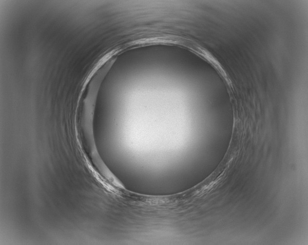 X0000051270909200507082240