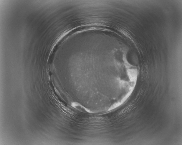 X0000051270925200507082239