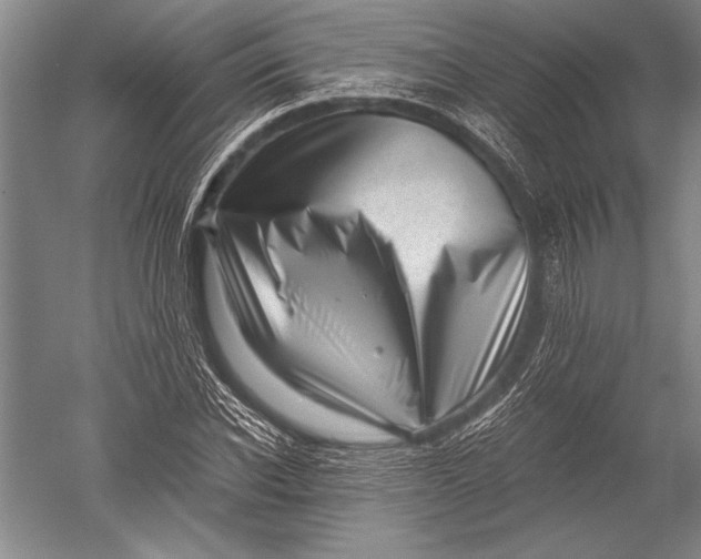 X0000051270926200507082239