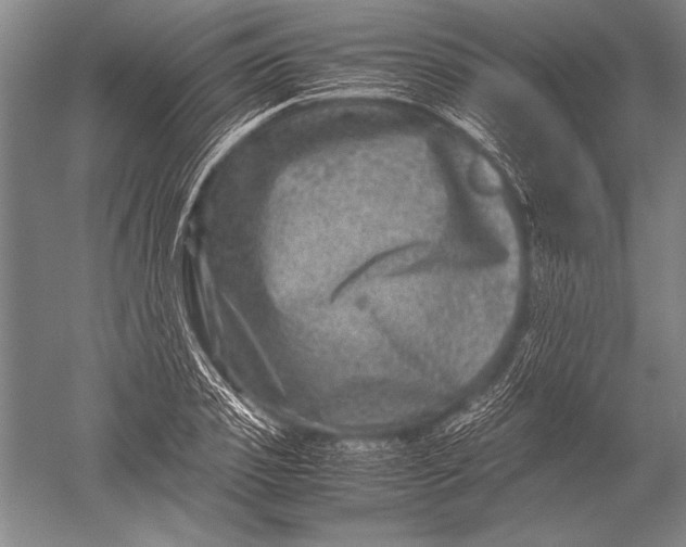 X0000051270933200507082239