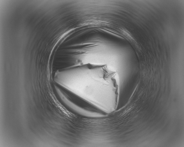 X0000051270940200507082239