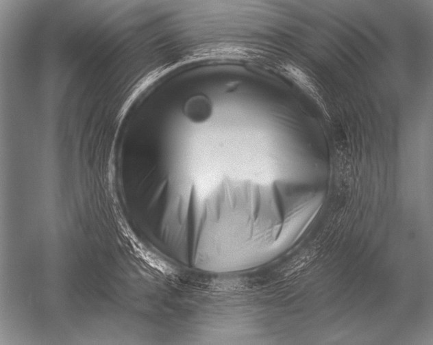 X0000051270944200507082239