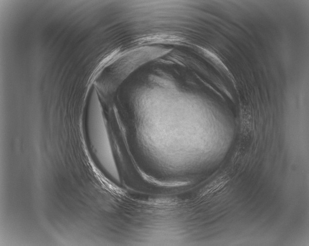 X0000051270946200507082239