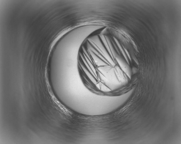 X0000051270952200507082239