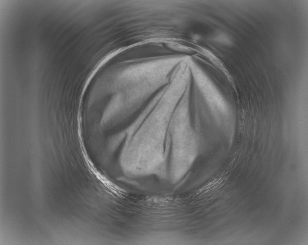 X0000051270955200507082239