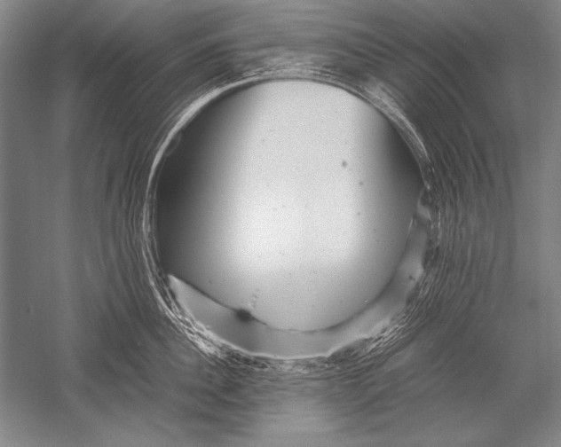 X0000051270956200507082240