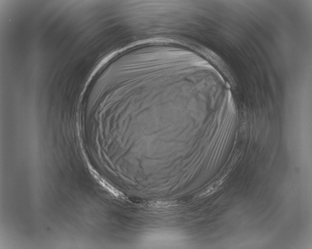 X0000051270958200507082240