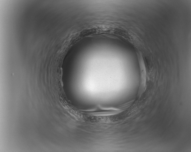 X0000051270961200507082239