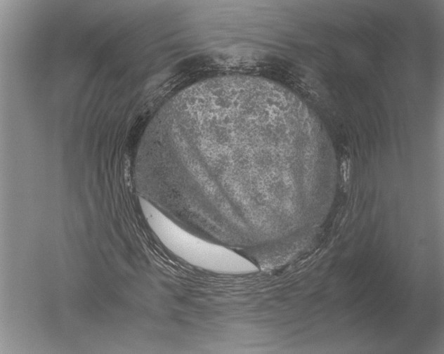 X0000051270963200507082239