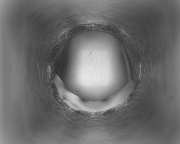 X0000051270965200507082239