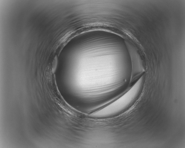 X0000051270969200507082239