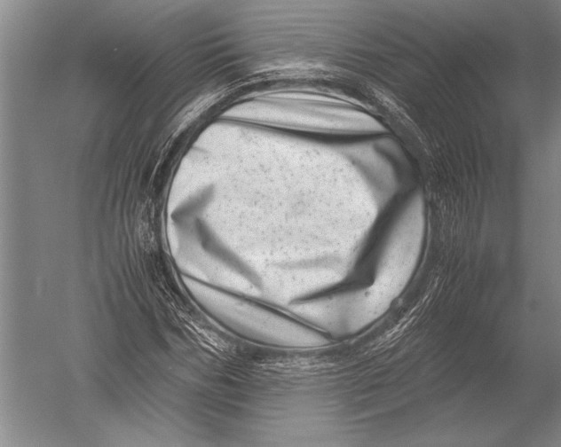 X0000051270970200507082239