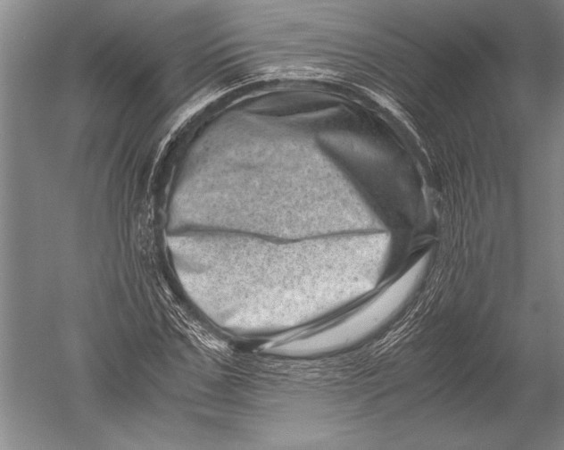 X0000051270971200507082239