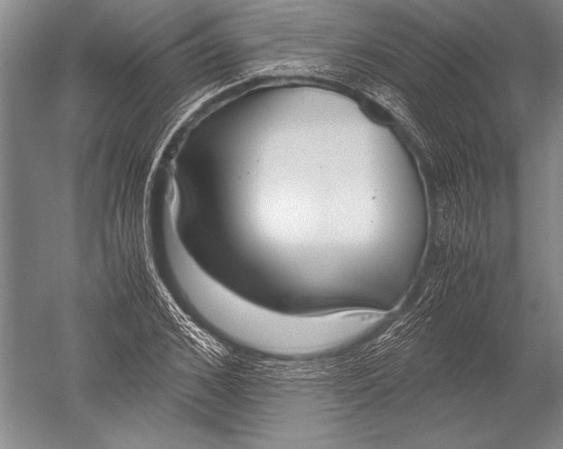 X0000051270976200507082239