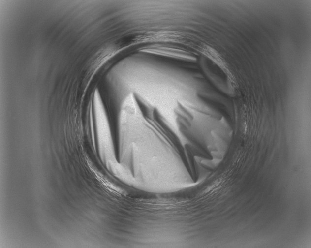 X0000051270980200507082238