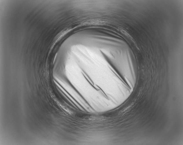 X0000051270981200507082238