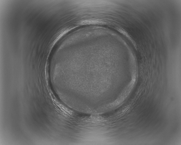 X0000051270983200507082238