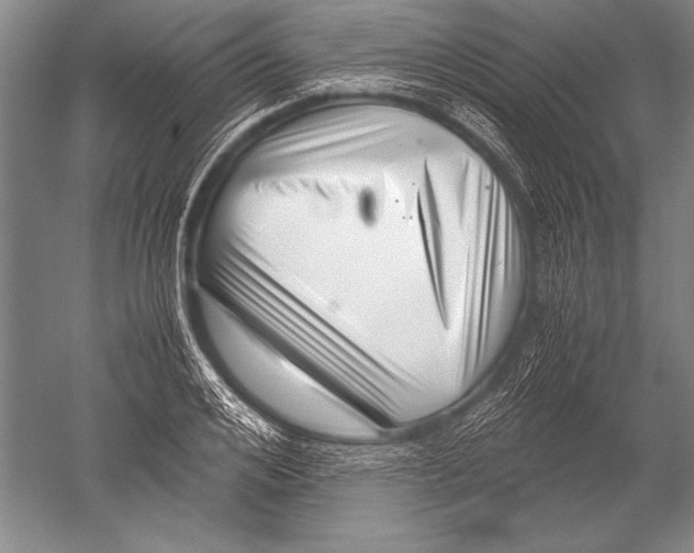 X0000051270984200507082238