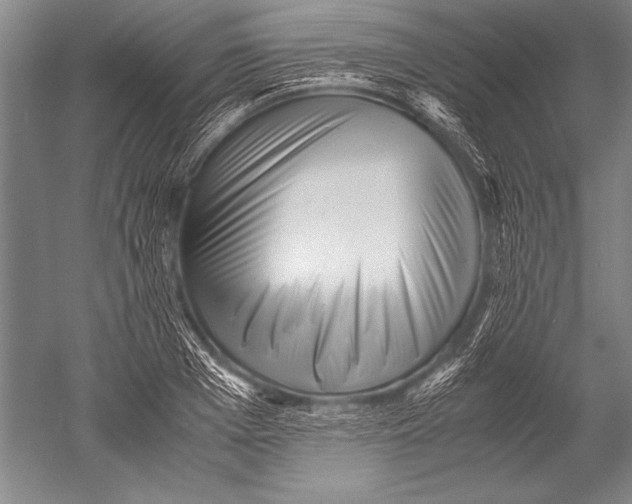 X0000051270985200507082238
