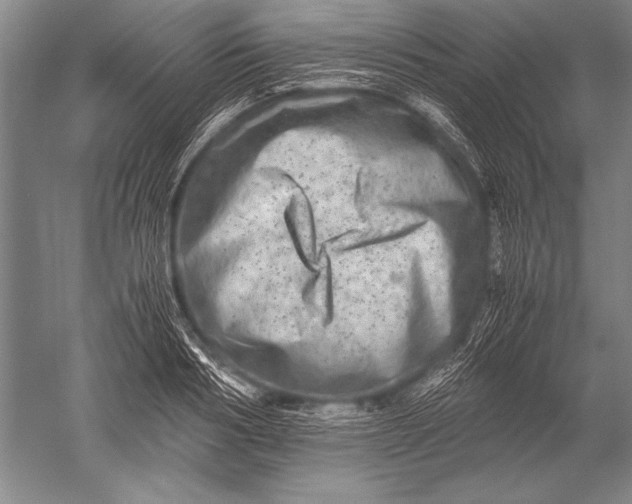 X0000051270986200507082238