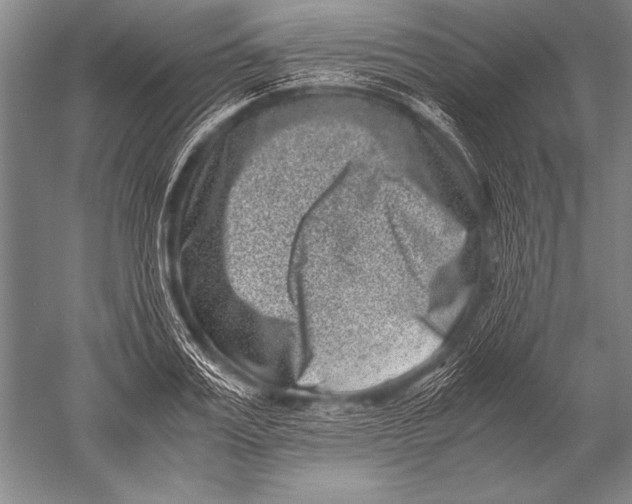 X0000051270987200507082238
